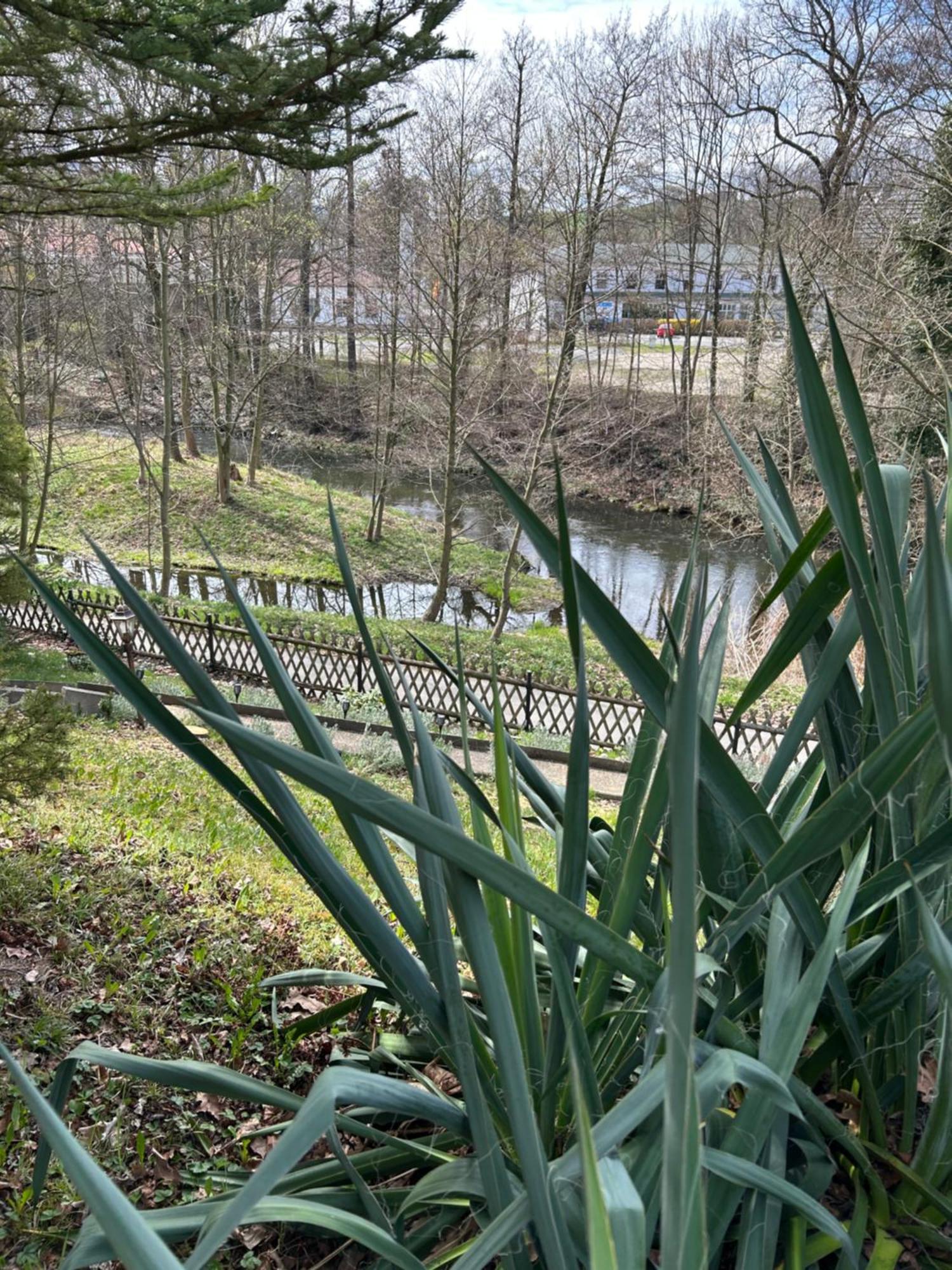 Ferienhaus Lavendel Obergurig Exteriör bild